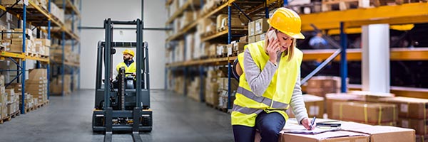 ERP Selection and Implementation Resources for South African ERP Consultants